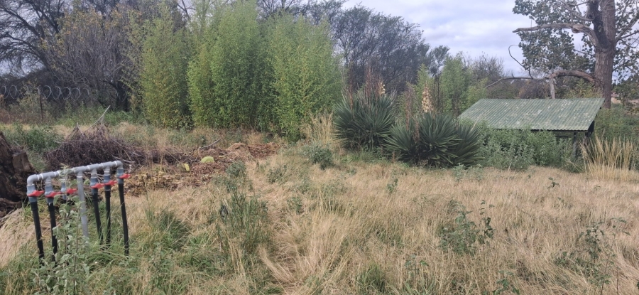 Commercial Property for Sale in Roodewal Free State